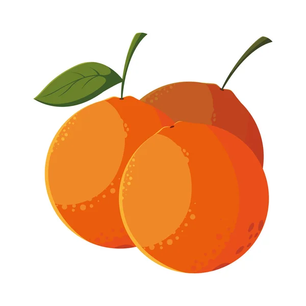 Naranjas fruta fresca en fondo blanco — Vector de stock