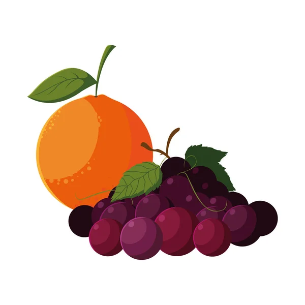 Frutas frescas naranja y uvas — Vector de stock