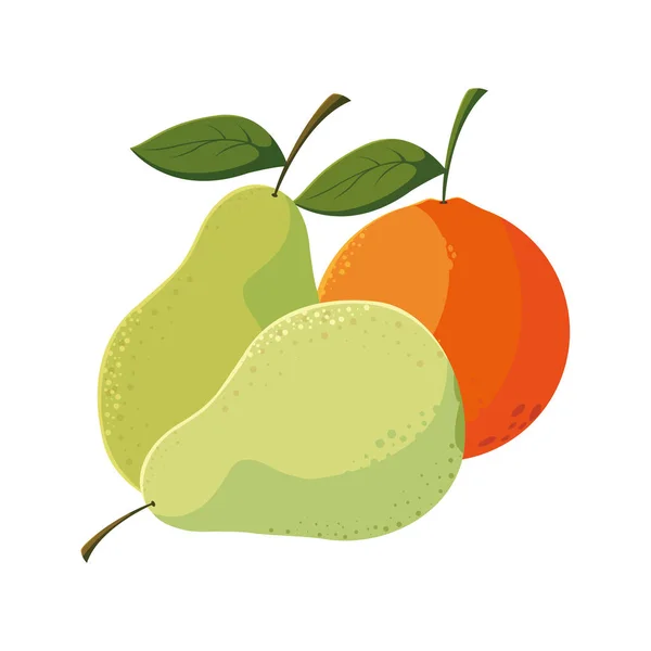 Färska frukter päron och apelsin — Stock vektor