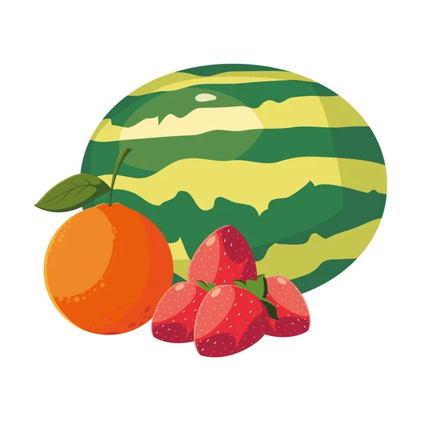 Frutas frescas sandía naranja fresas — Vector de stock