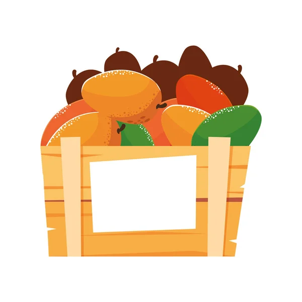 Mangues de fruits frais dans un panier en bois — Image vectorielle