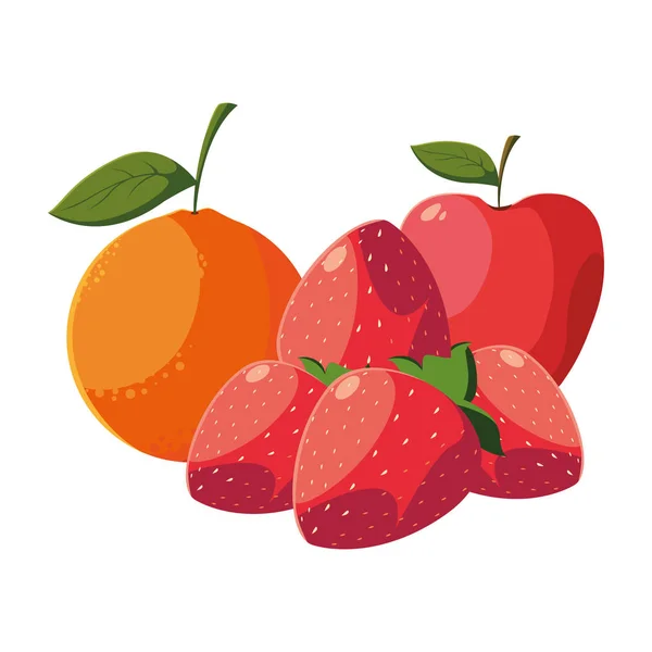 Frutas frescas manzana de naranja y uvas — Vector de stock