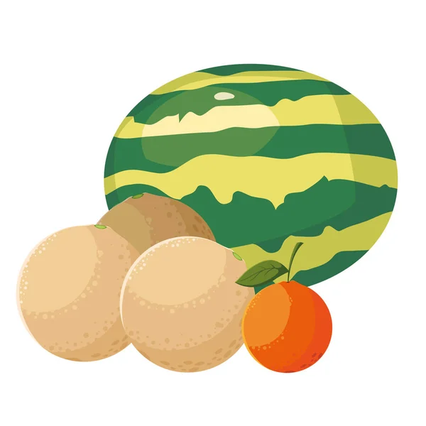 Melão de melancia de frutas frescas e laranja — Vetor de Stock