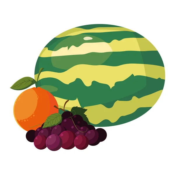 Frutas frescas sandía naranja uvas — Vector de stock