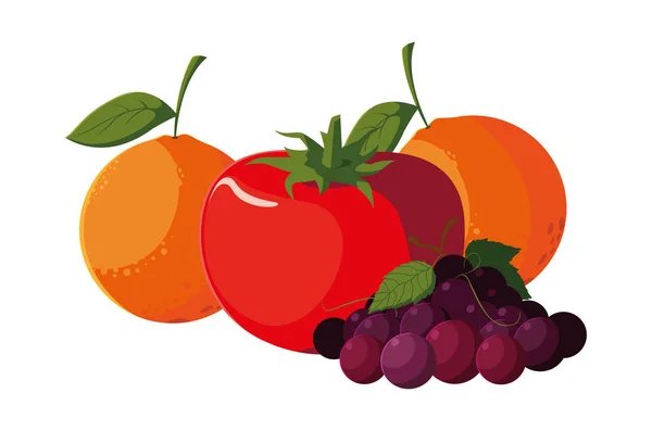 橙苹果番茄和葡萄 — 图库矢量图片