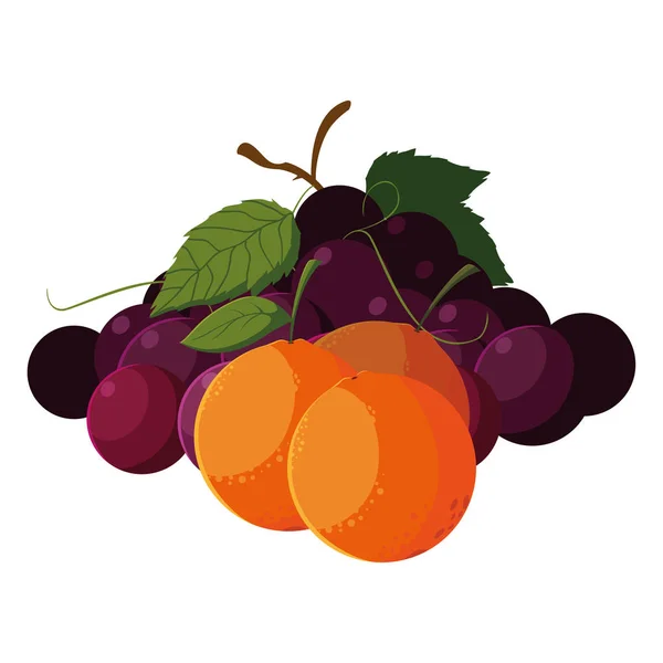 Frutas frescas uvas y naranja — Vector de stock