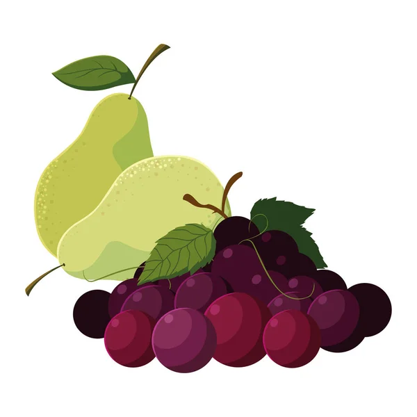 Fruits frais raisins et poires — Image vectorielle