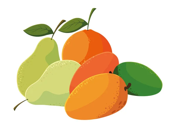 Fruits frais mangues orange et poires — Image vectorielle