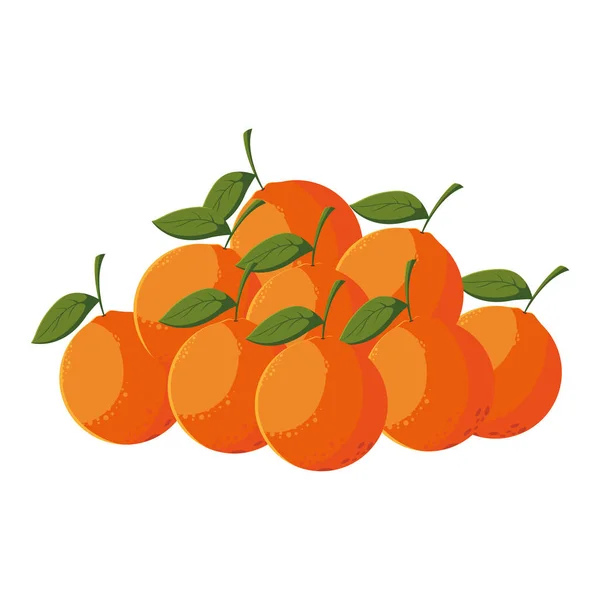 Naranjas fruta fresca en fondo blanco — Vector de stock
