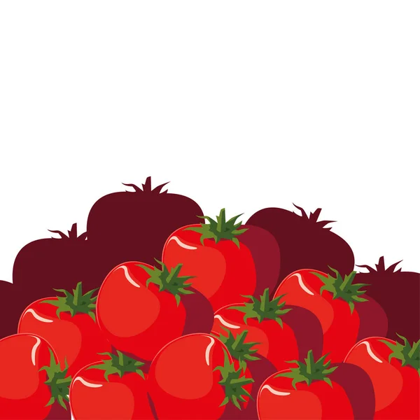 西红柿新鲜蔬菜白色背景 — 图库矢量图片