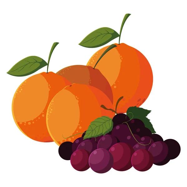 Frutas frescas naranjas y uvas — Vector de stock