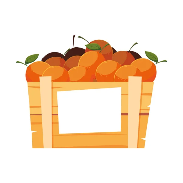 木製バスケットオレンジの新鮮な果物 — ストックベクタ