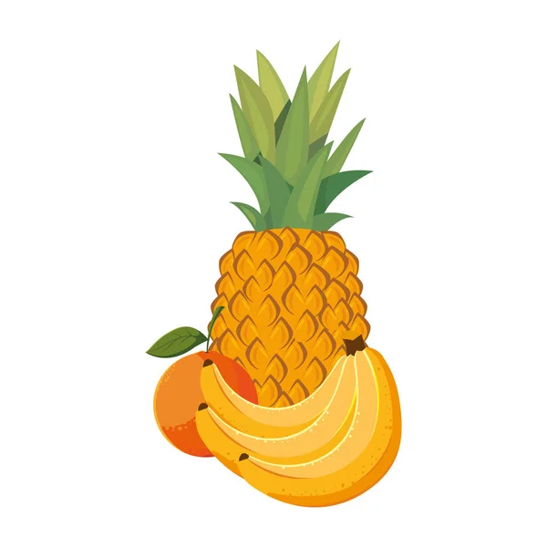 Ananas banaan en oranje vers — Stockvector