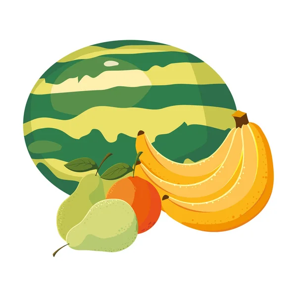 Frutas frescas sandía naranja plátano pera — Vector de stock