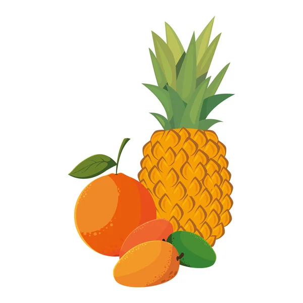 Ananas mango ve turuncu taze — Stok Vektör
