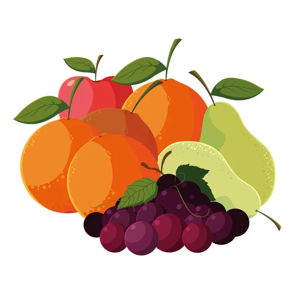 Frische Früchte Apfel Orange Mango Trauben Birnen — Stockvektor