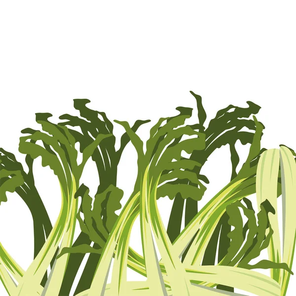 Cebolleta vegetal fresco fondo blanco — Vector de stock