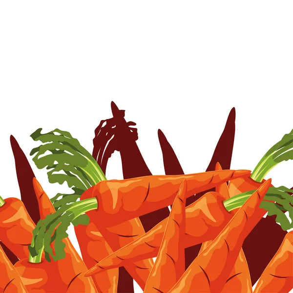 Karotten frisches Gemüse weißer Hintergrund — Stockvektor