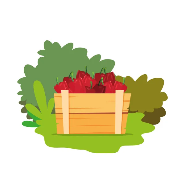 Pimientos vegetales frescos en canasta de madera — Vector de stock