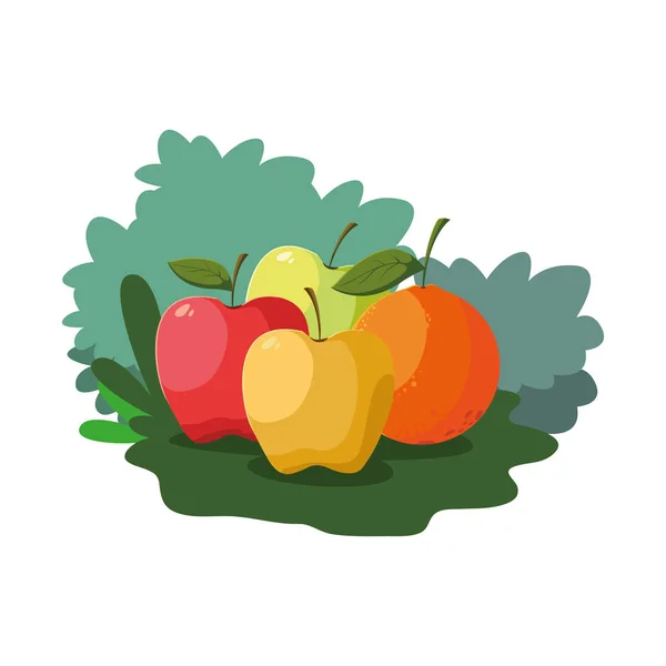 Яблоки и апельсиновые свежие фрукты на природе — стоковый вектор