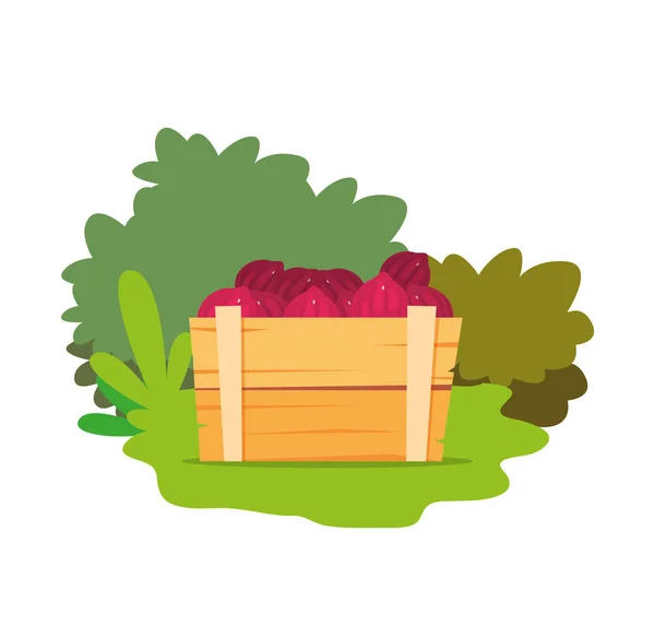 Cebollas rojas vegetales frescas en cesta de madera — Vector de stock