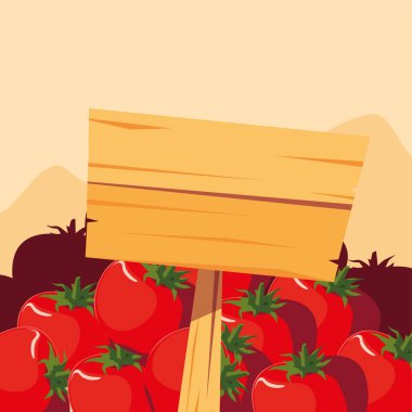 ahşap domates taze sebze çiftlik