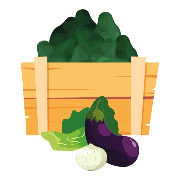 Avocado di verdure fresche in cesto di legno — Vettoriale Stock