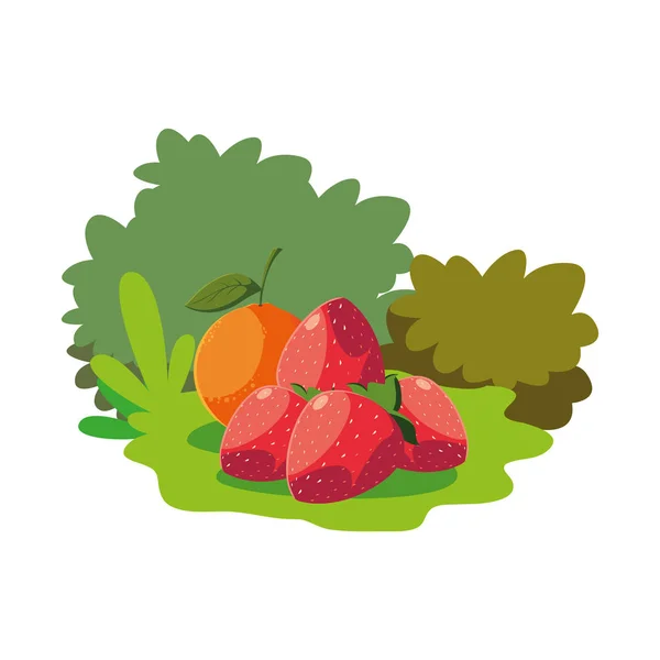 Fresa naranja frutas frescas en la naturaleza hierba — Vector de stock