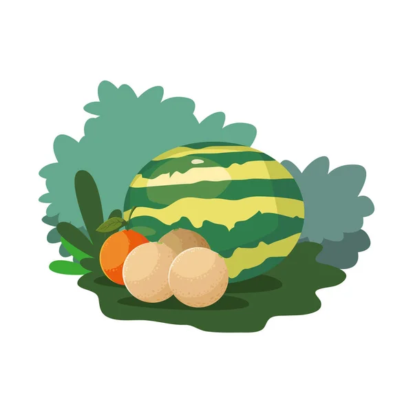 Sandía melones y frutas frescas de naranja en la naturaleza hierba — Vector de stock