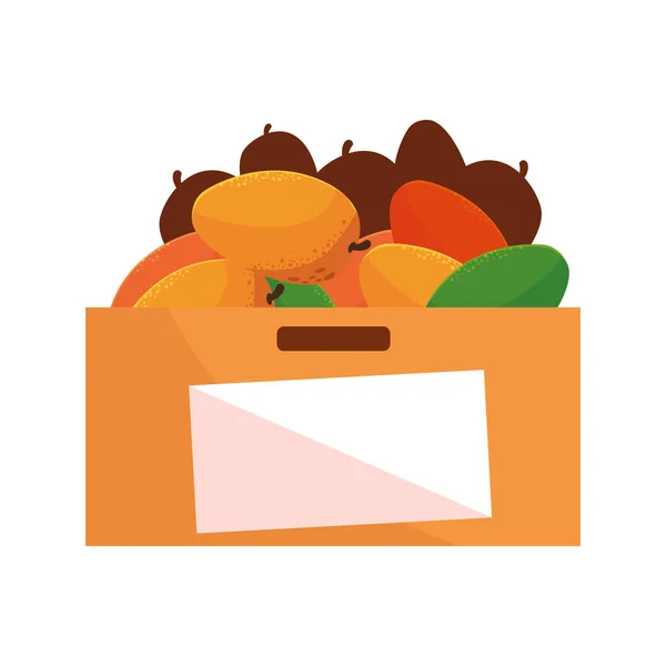 Szupermarket doboz friss gyümölcs mangó — Stock Vector