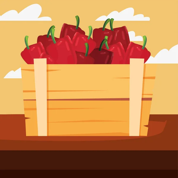 Frische Gemüsepaprika im Holzkorb — Stockvektor