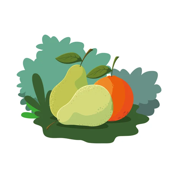 Peras y frutas frescas de naranja en la naturaleza hierba — Vector de stock