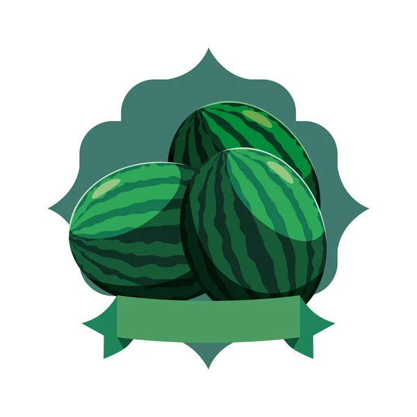 Sandía fruta fresca hojas sello — Vector de stock