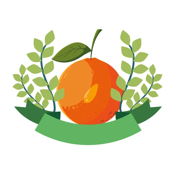Naranja fruta fresca hojas sello — Vector de stock