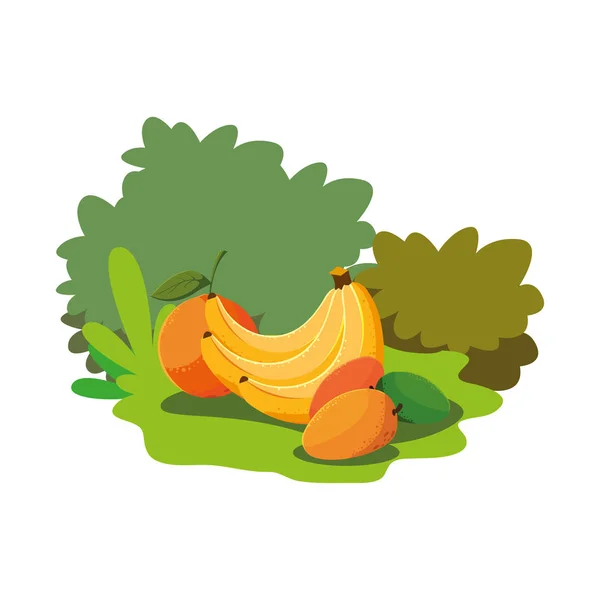Frutas frescas mango plátano y naranja sobre hierba — Vector de stock