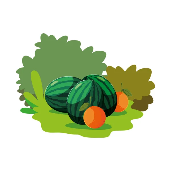 Pepene verde portocaliu fructe proaspete pe iarba natura — Vector de stoc