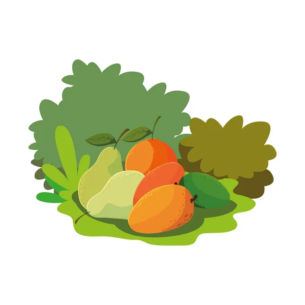 Frutta fresca pere di mango e arancia sull'erba — Vettoriale Stock