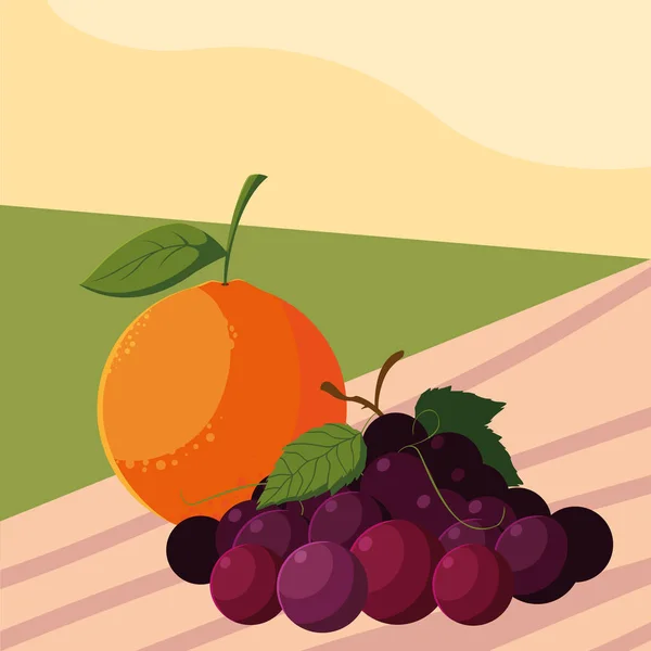 Fruits frais raisins et orange sur la table à l'extérieur — Image vectorielle