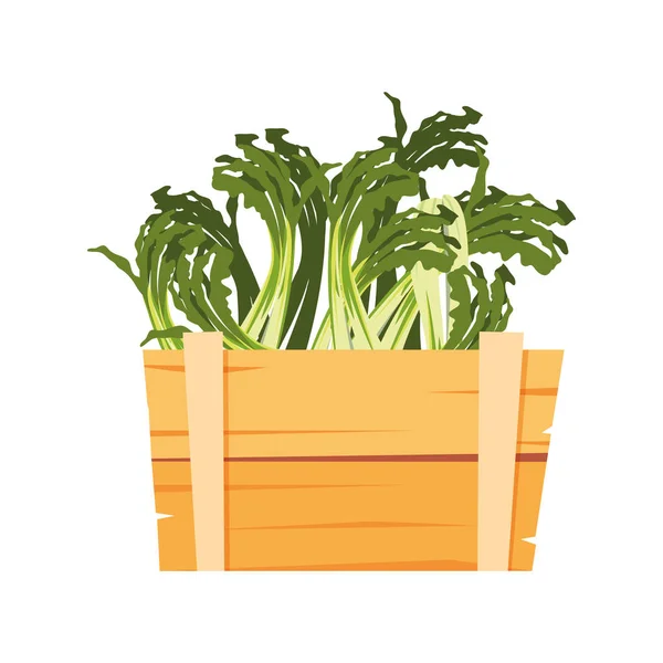 木製バスケットの新鮮な野菜のホタテ — ストックベクタ