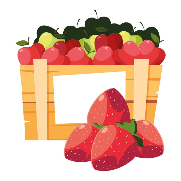 Maçãs de frutas frescas em cesta de madeira —  Vetores de Stock