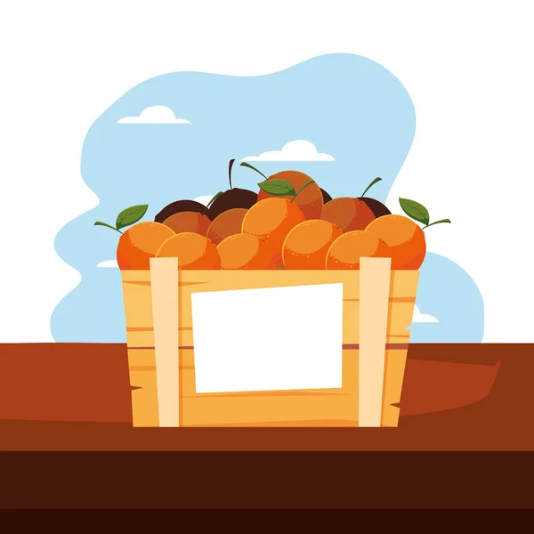 Frische Früchte Orangen im Holzkorb — Stockvektor