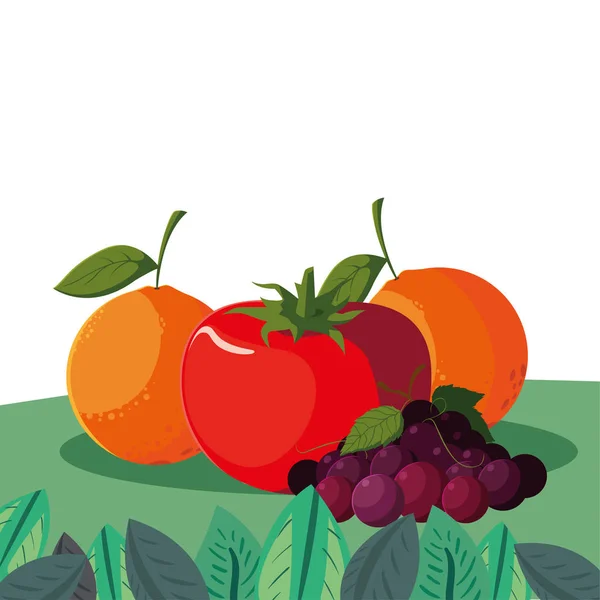 Naranja uva tomate frutas frescas verduras en el campo — Vector de stock