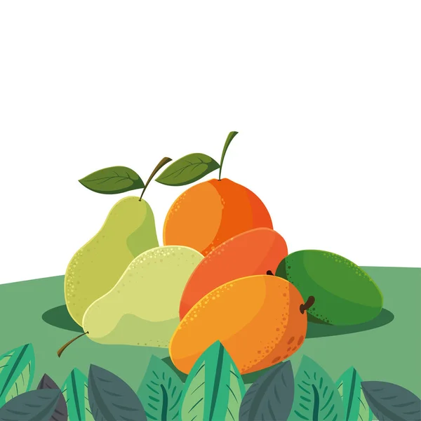 Peras de mango naranja frutas frescas en el campo — Vector de stock