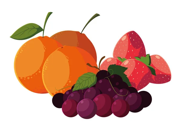 Ilustration vectorielle des fruits et légumes frais — Image vectorielle