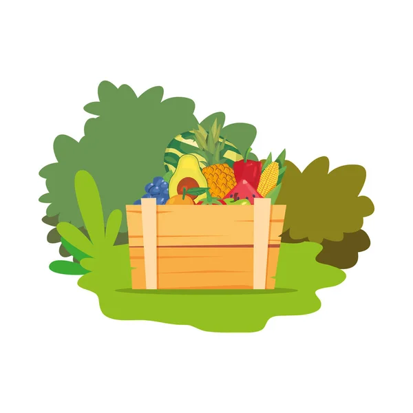 Färska grönsaker och frukter i träkorg — Stock vektor