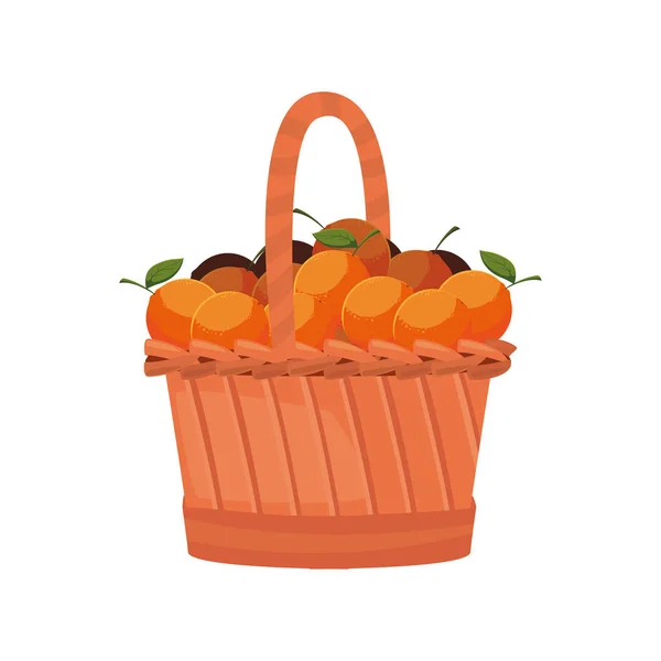 Friss gyümölcsök fonott kosár Narancsban — Stock Vector