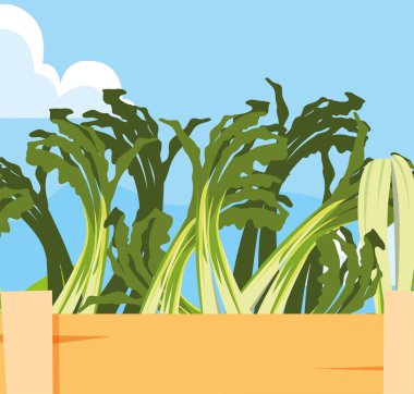 ahşap sepet taze sebze soğan