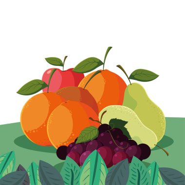 alan armut elma taze meyve portakal üzüm