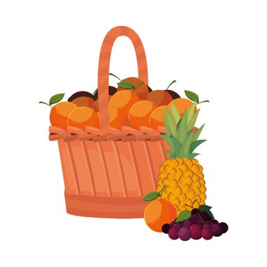 ahşap sepet portakallar taze meyveler