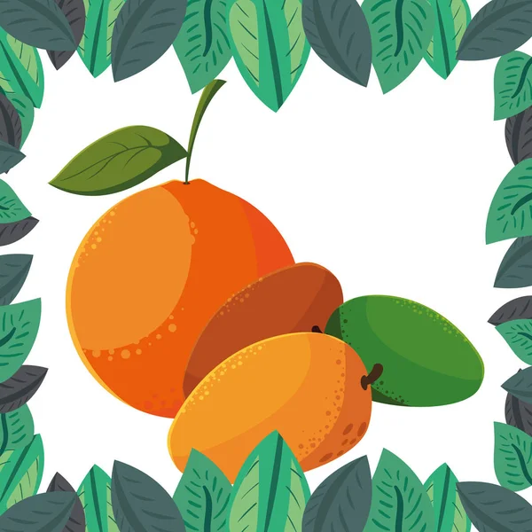 Marco de follaje de frutas frescas de naranja y mango — Vector de stock